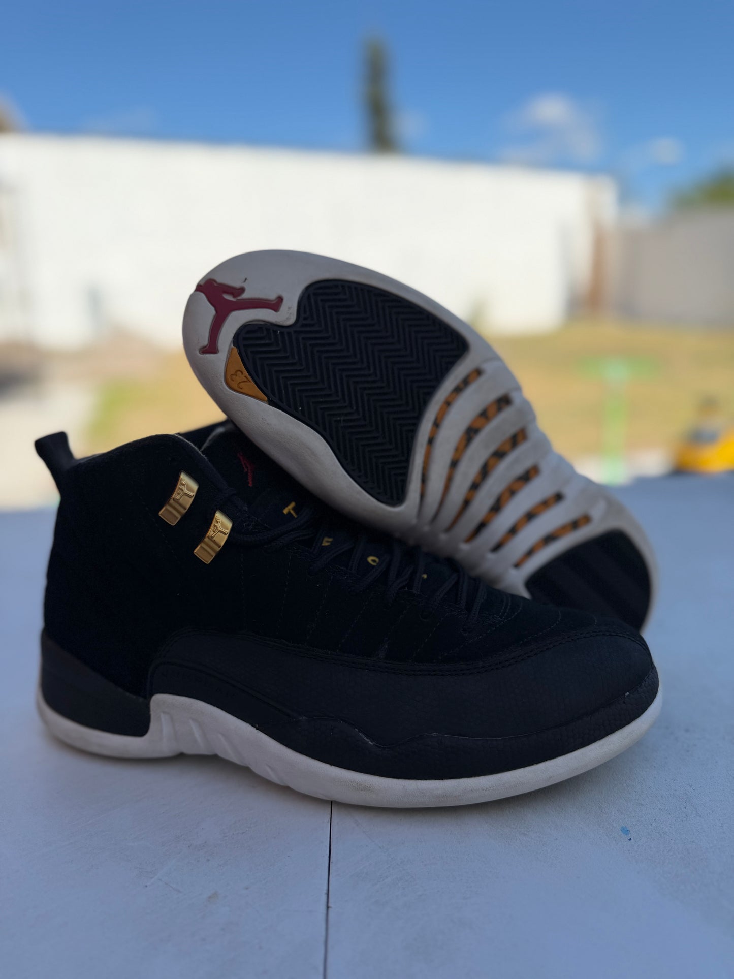 J12 Taxi black 8.5Mx