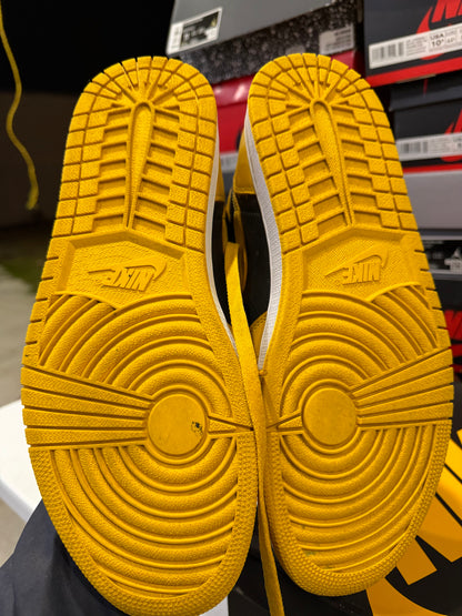 J1 Pollen 8.5Mx