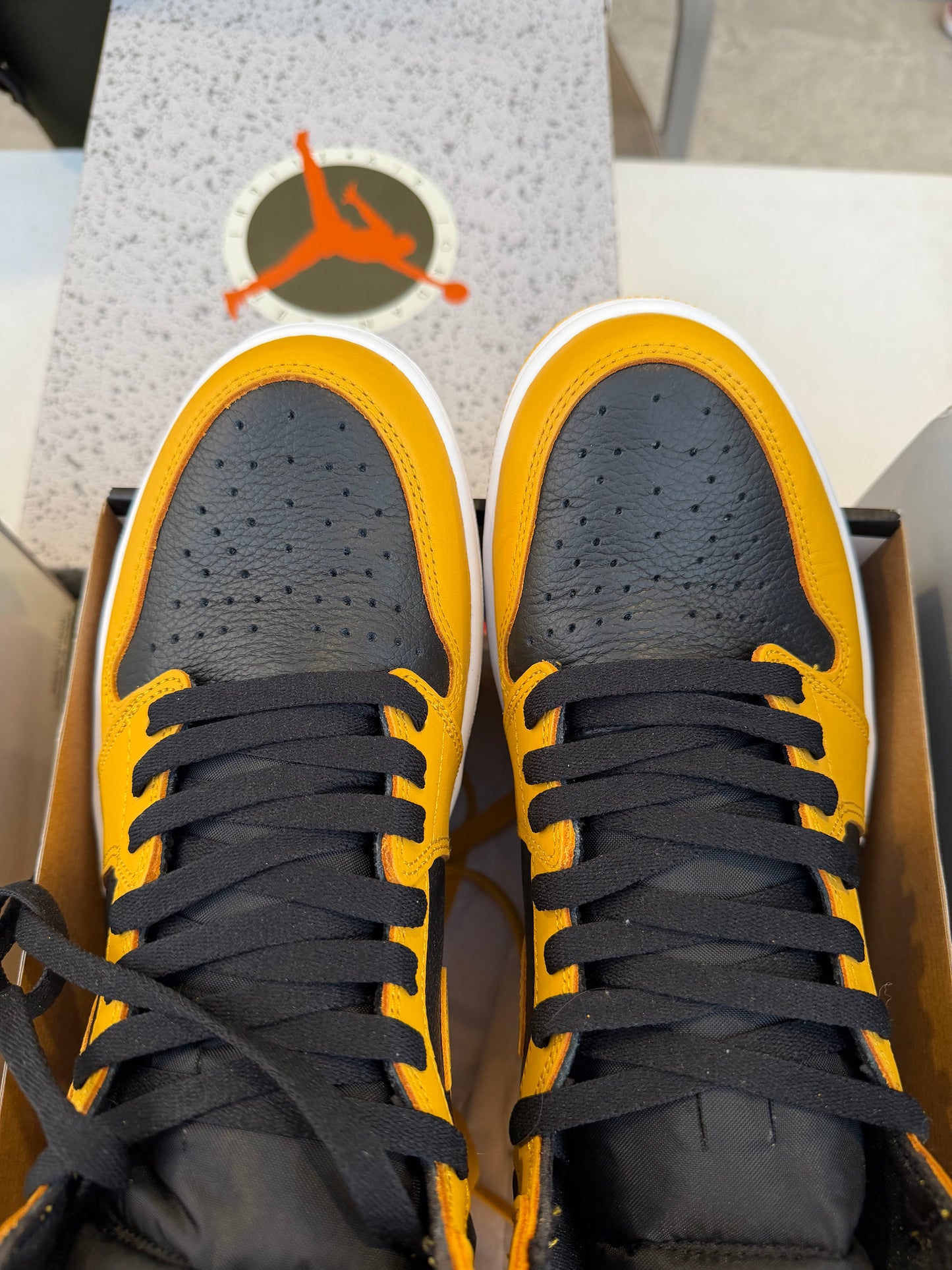 J1 Pollen 9Mx