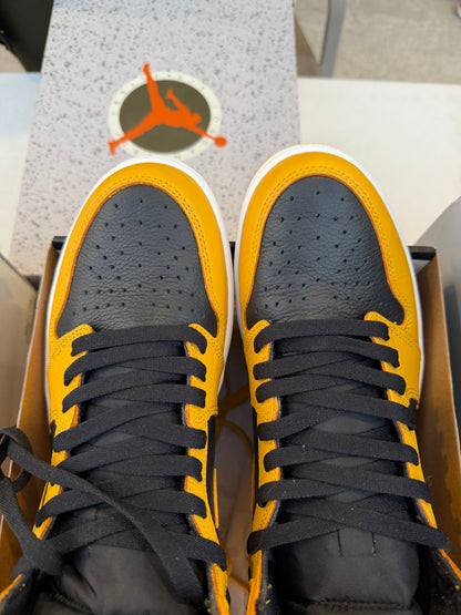 J1 Pollen 9Mx