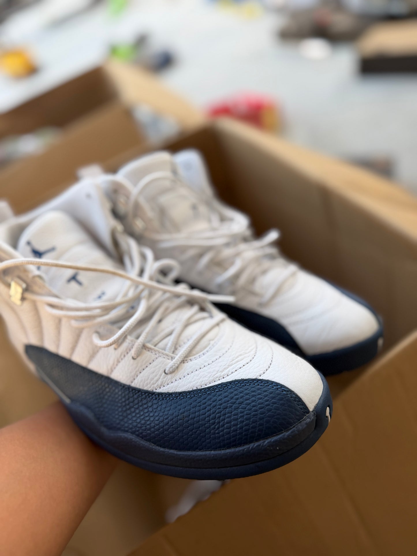 J12 French 8.5Mx