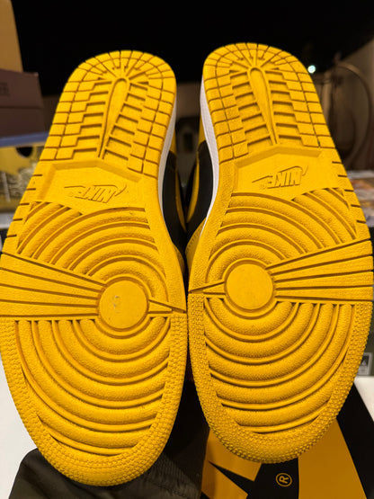 J1 Pollen 9.5Mx