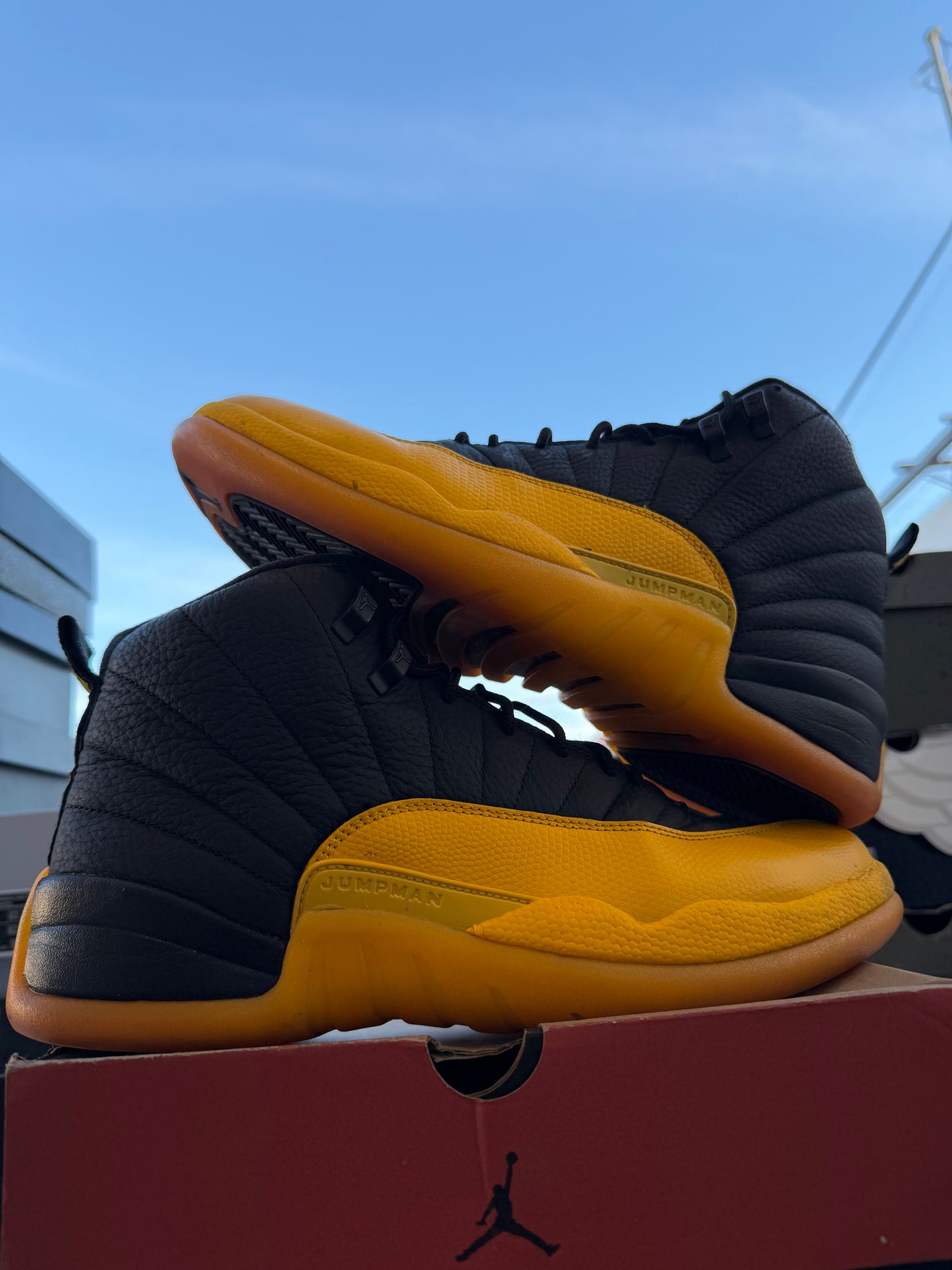 J12 Gold 9Mx