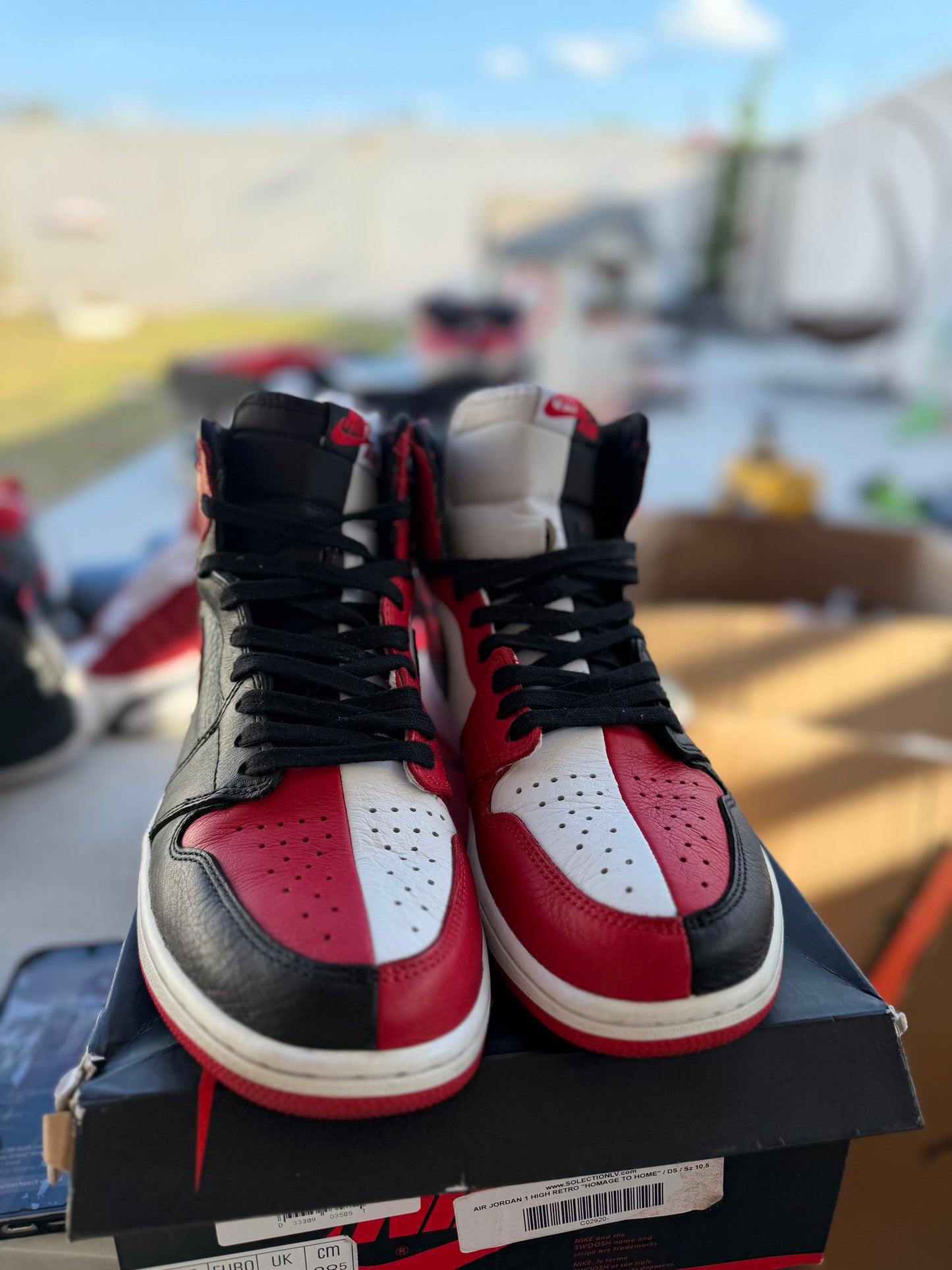 J1 Homage 8.5Mx