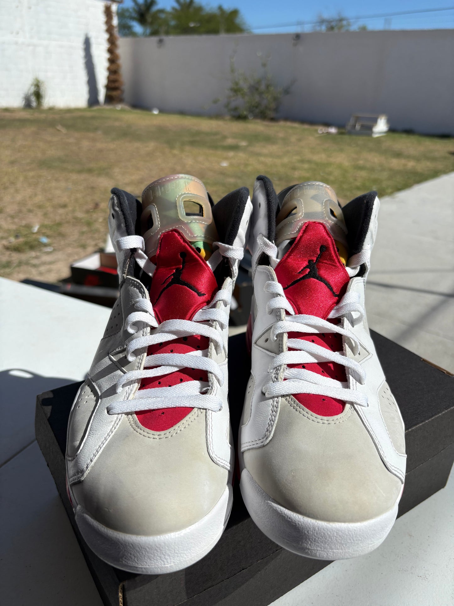 J6 Hare 7.5Mx