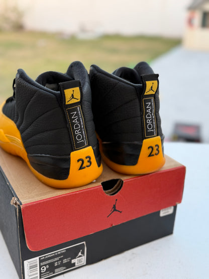 J12 Gold 7.5Mx