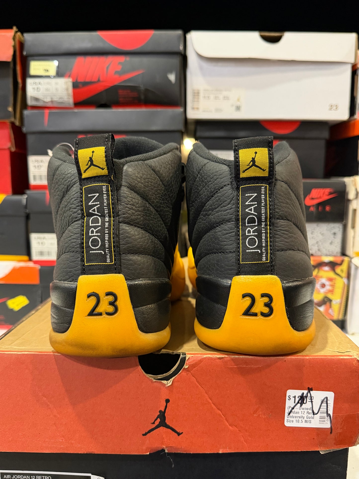 J12 Gold 8Mx Detalle