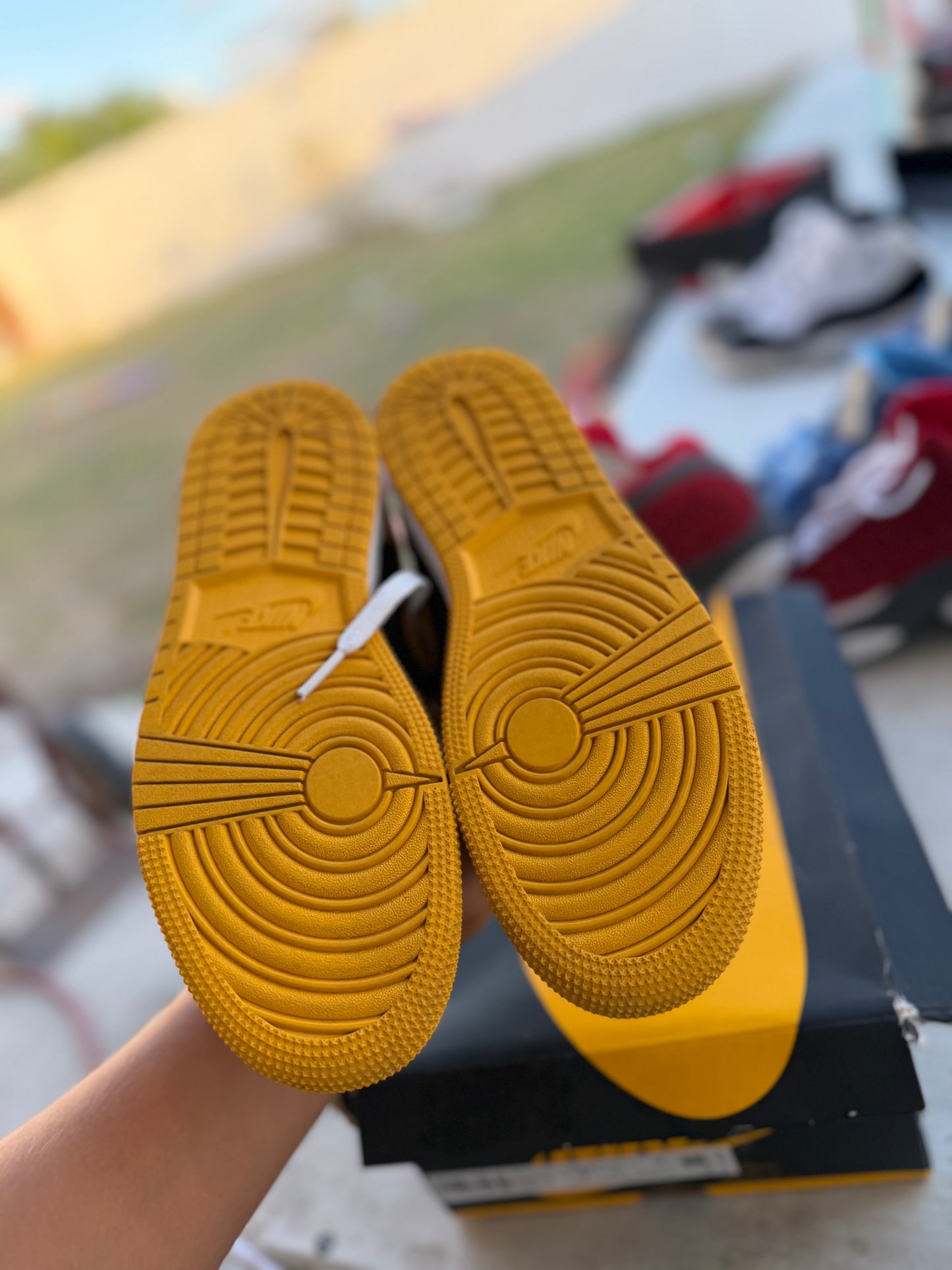 J1 Pollen 5Mx