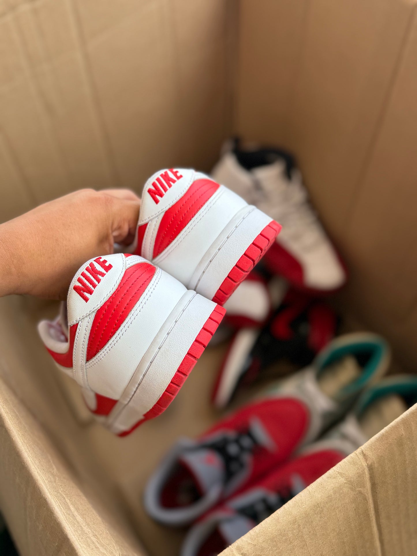 Dunk 8.5Mx