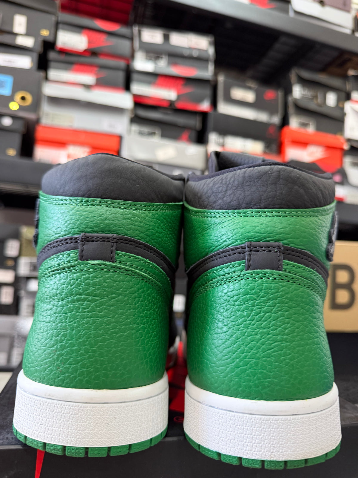 J1 Pine green 9Mx