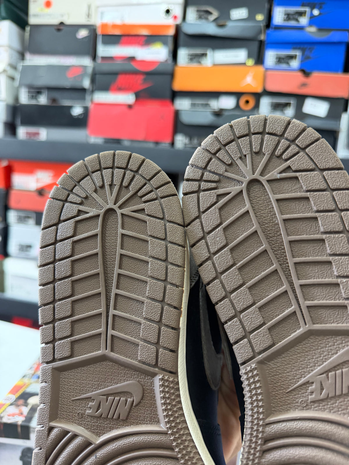 J1 Palomino 5Mx
