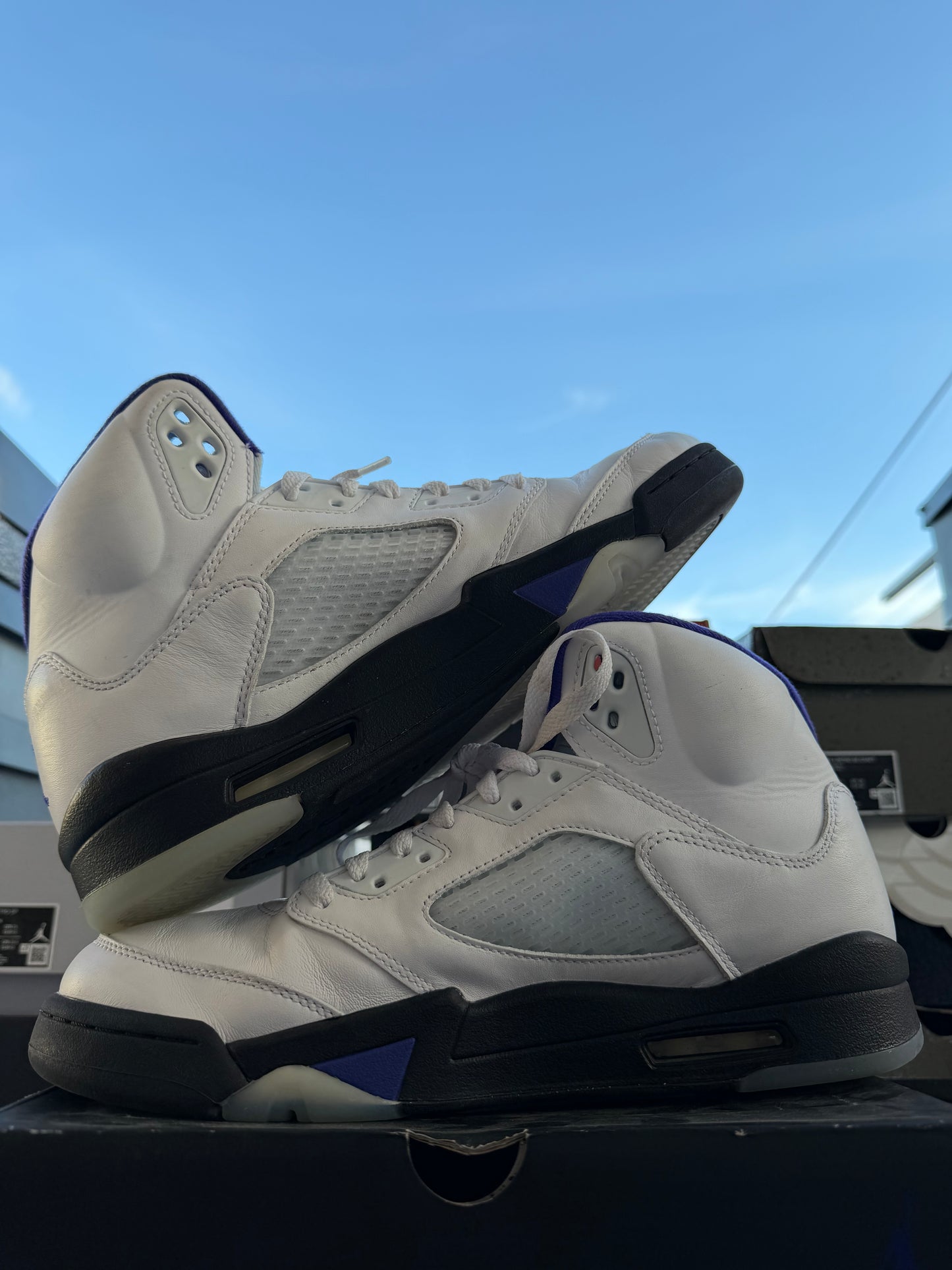 J5 Concord 8.5Mx