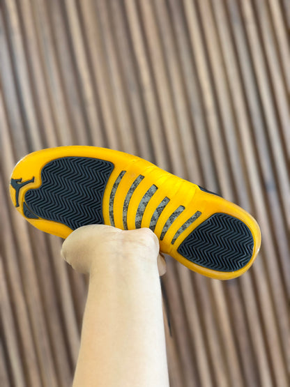 J12 Gold 6.5Mx