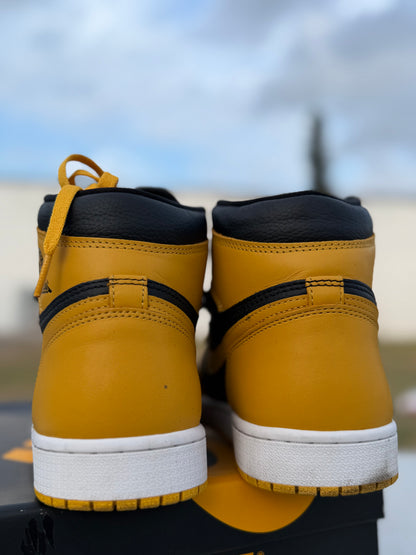 J1 Pollen 8.5Mx