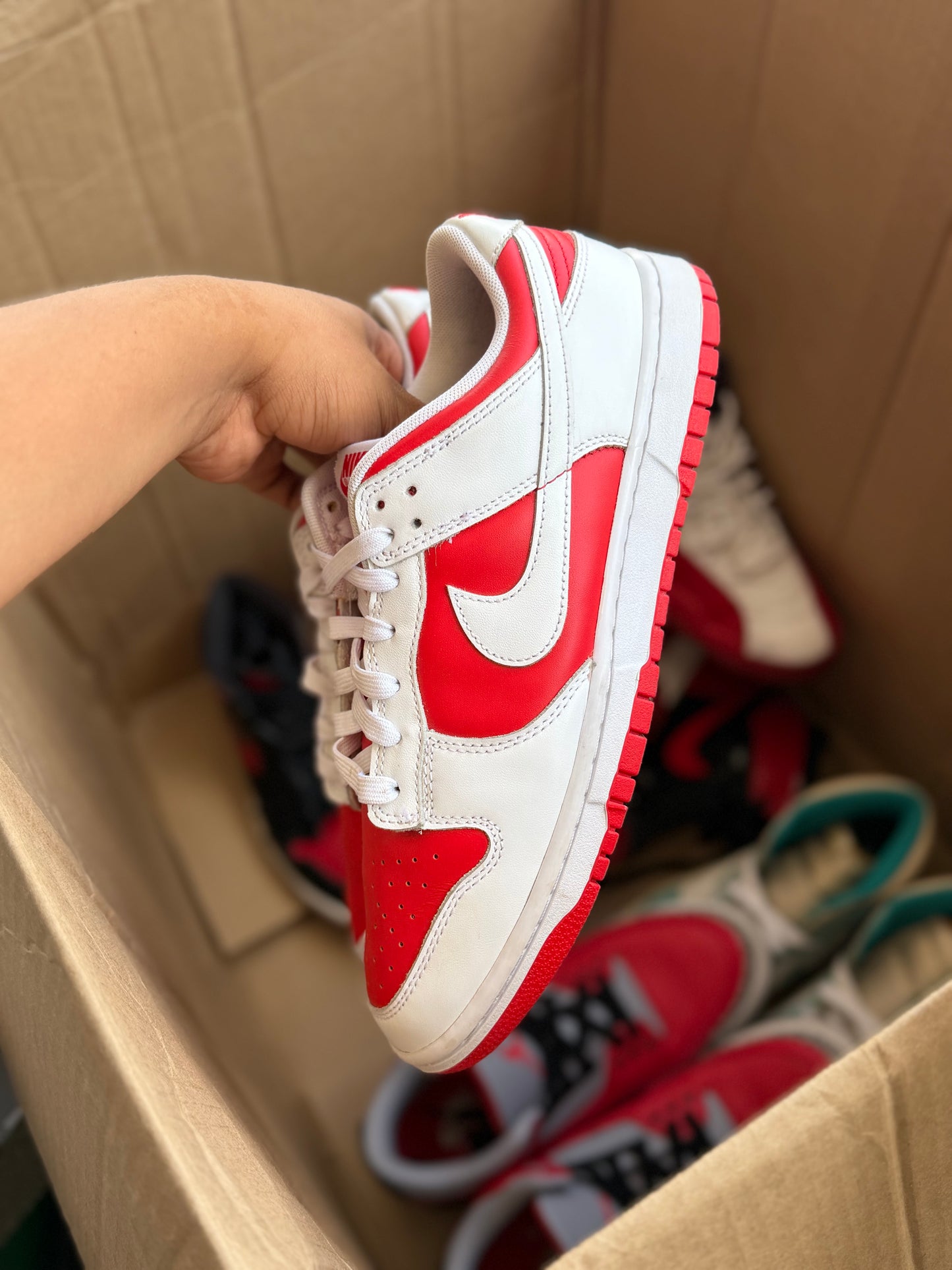 Dunk 8.5Mx