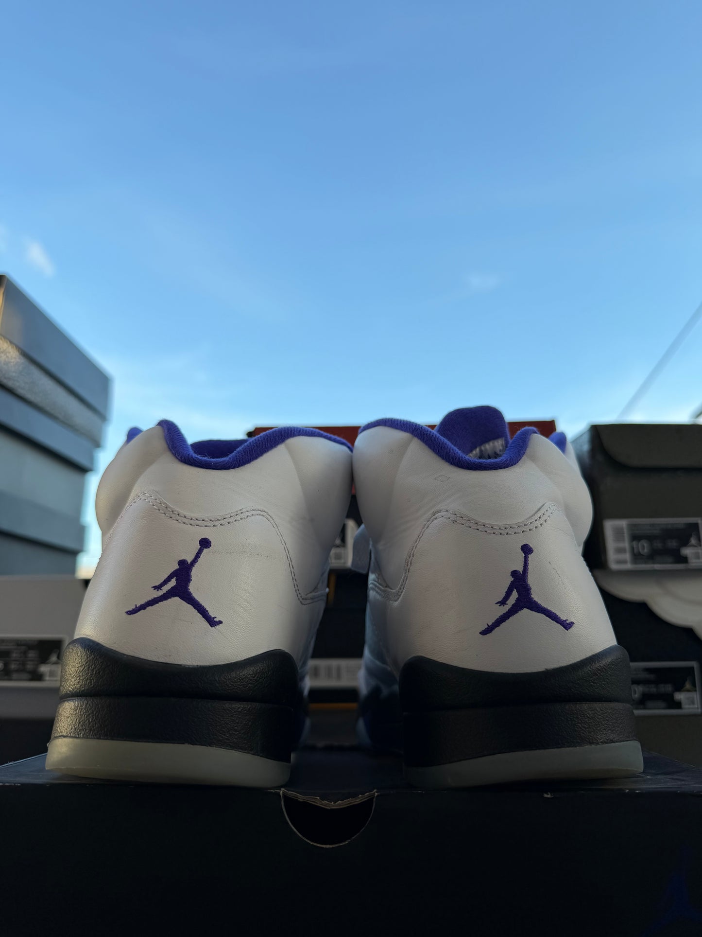 J5 Concord 8.5Mx