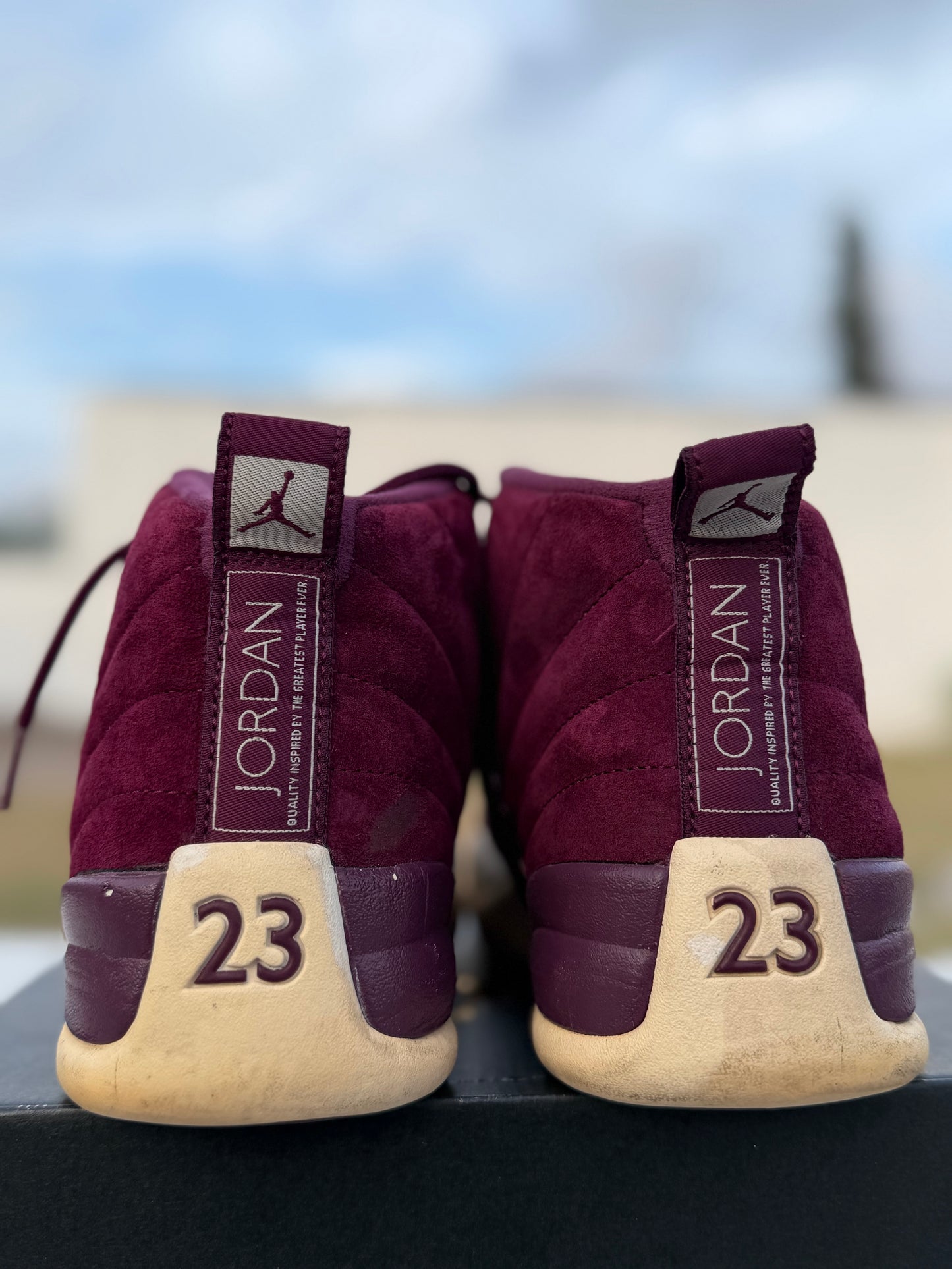 J12 6Mx