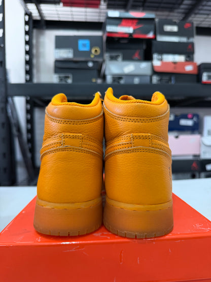 J1 Gatorade 5Mx