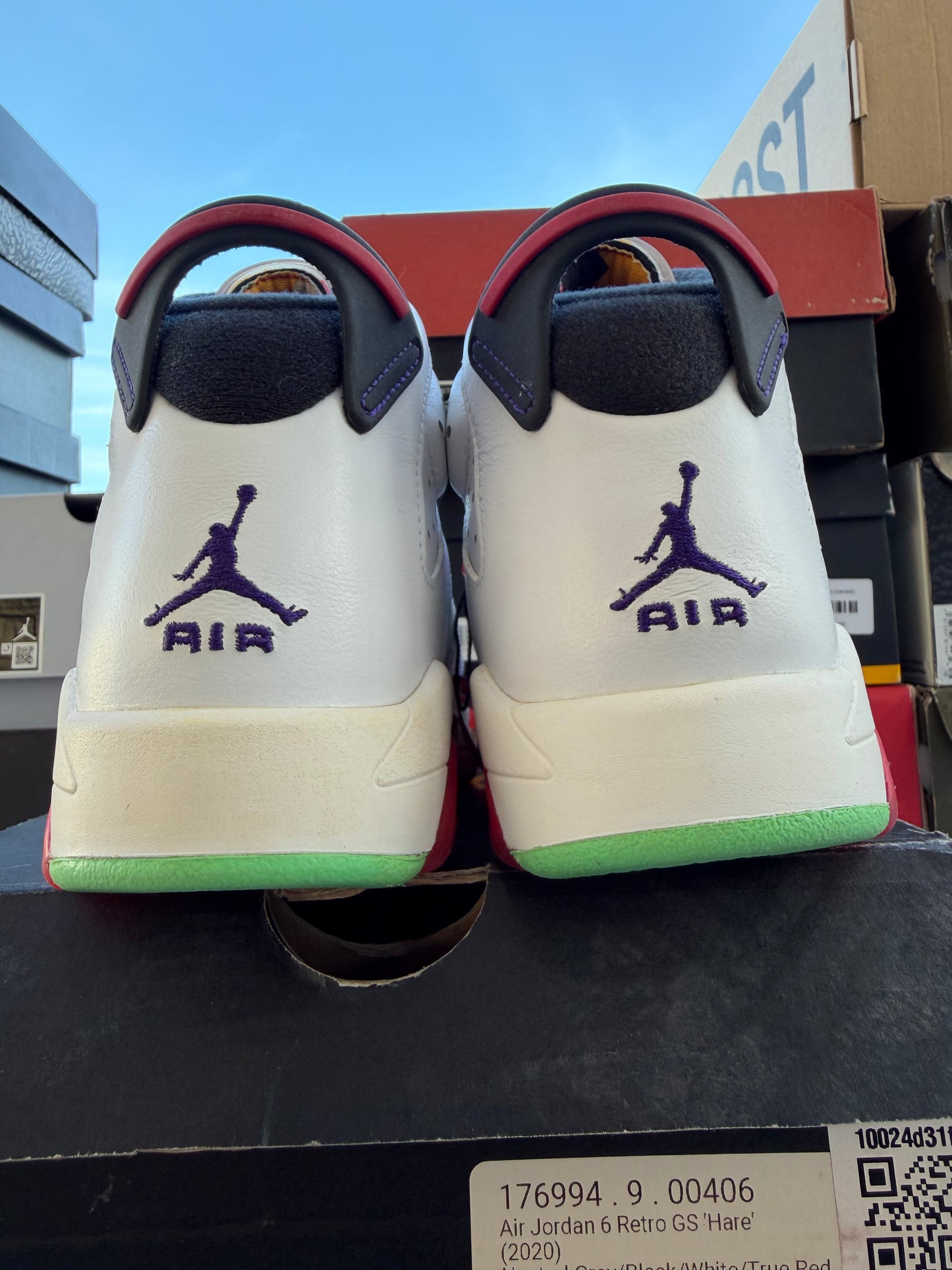 J6 Hare 3Mx NUEVO