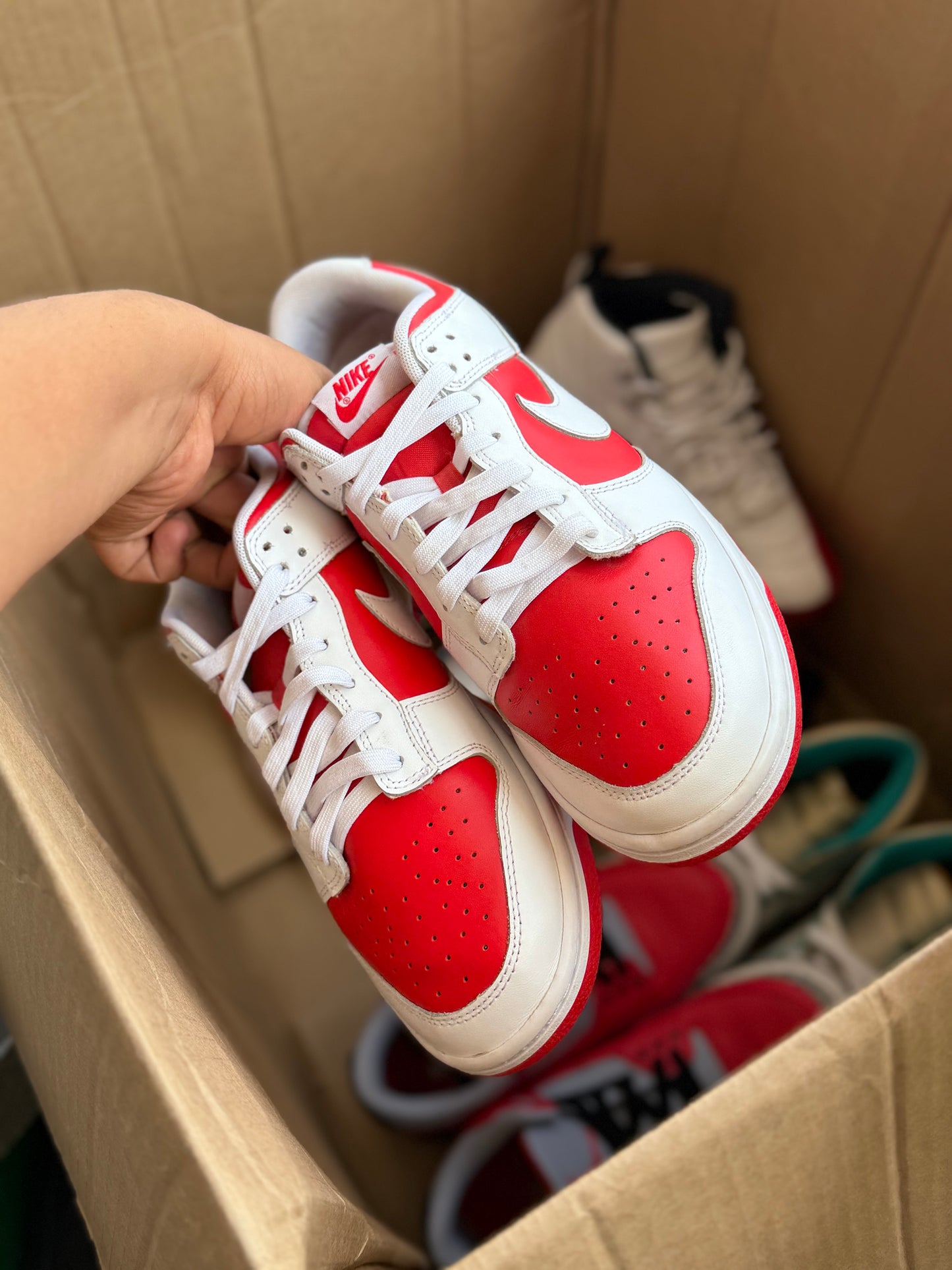 Dunk 8.5Mx