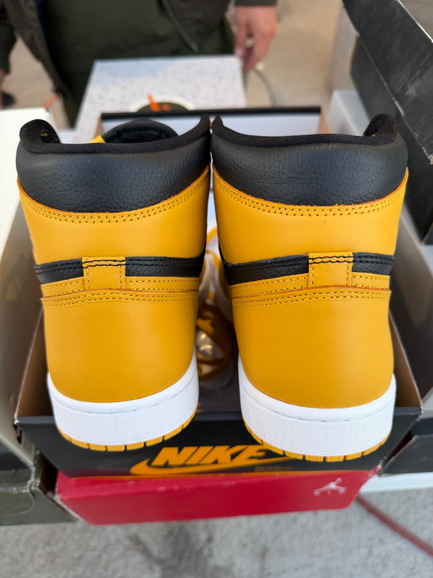 J1 Pollen 9Mx