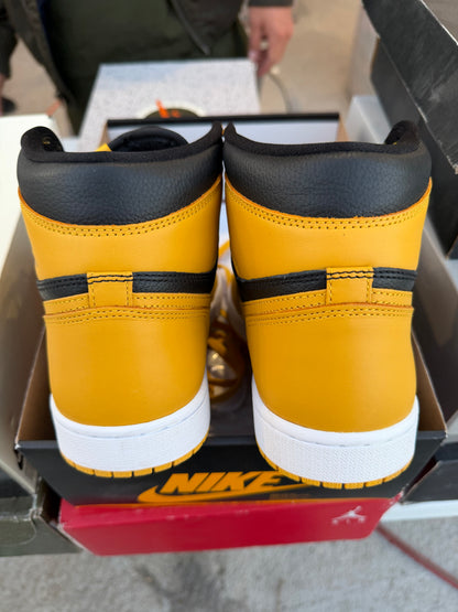 J1 Pollen 9Mx