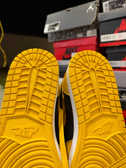 J1 Pollen 8.5Mx