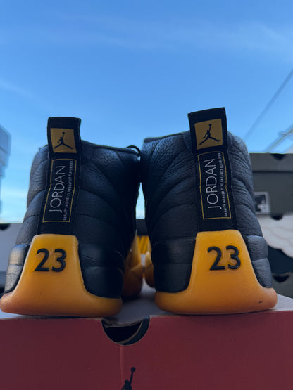 J12 Gold 9Mx