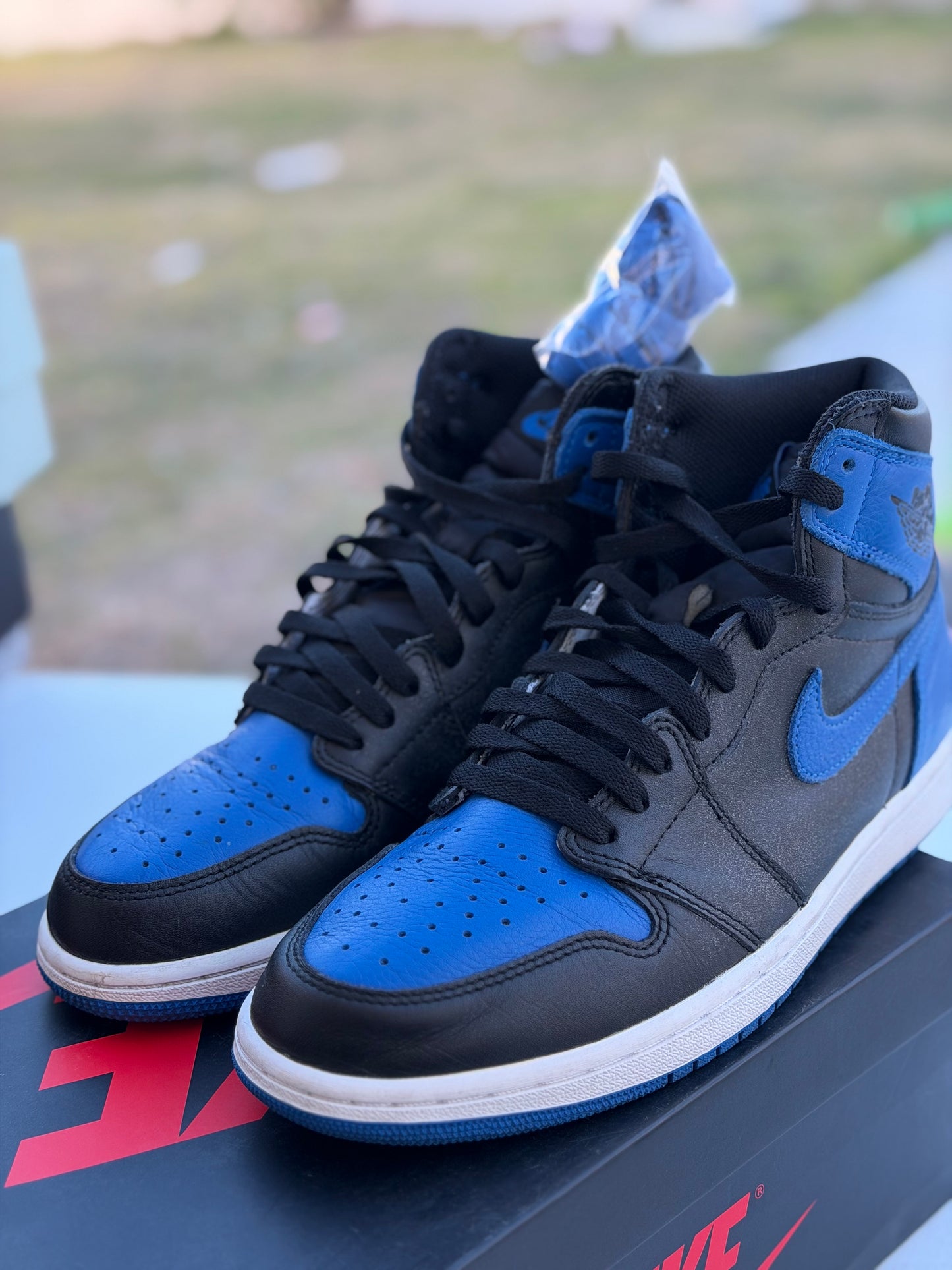 J1 Royal 2017 7.5Mx