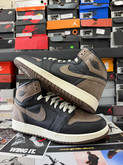 J1 Palomino 5Mx