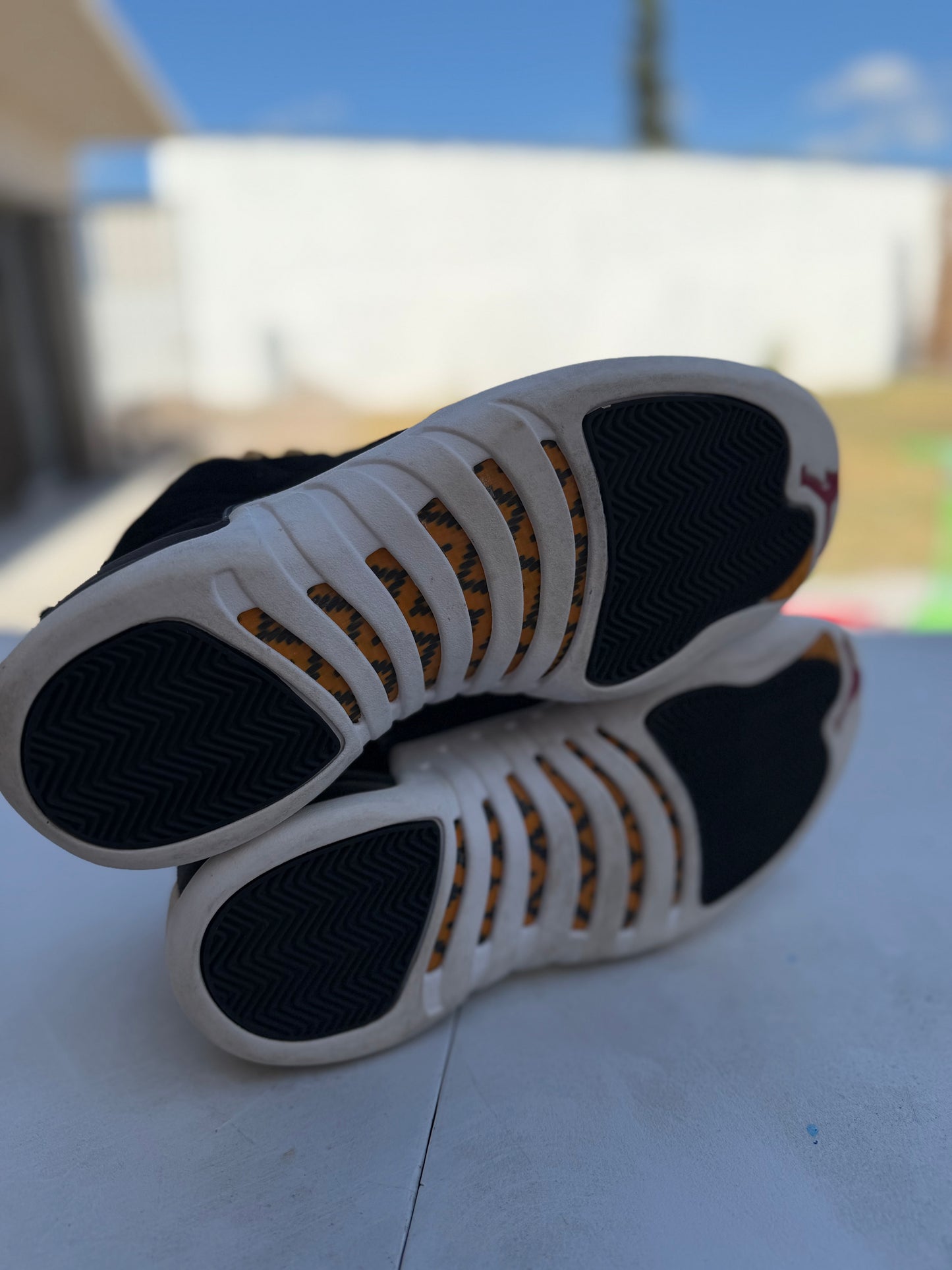 J12 Taxi black 8.5Mx