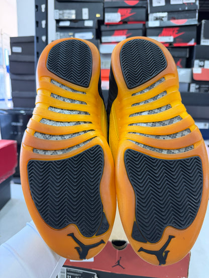 J12 Gold 9Mx