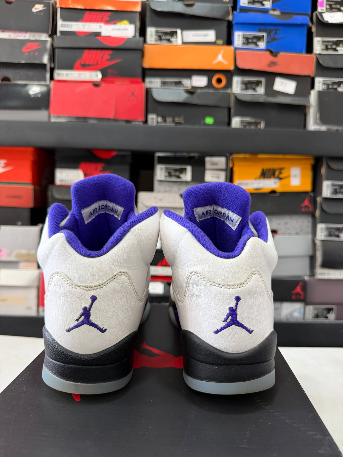 J5 Concord 4Mx