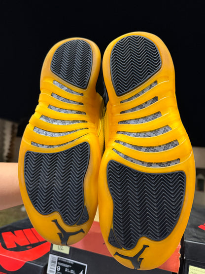 J12 Gold 8Mx Detalle