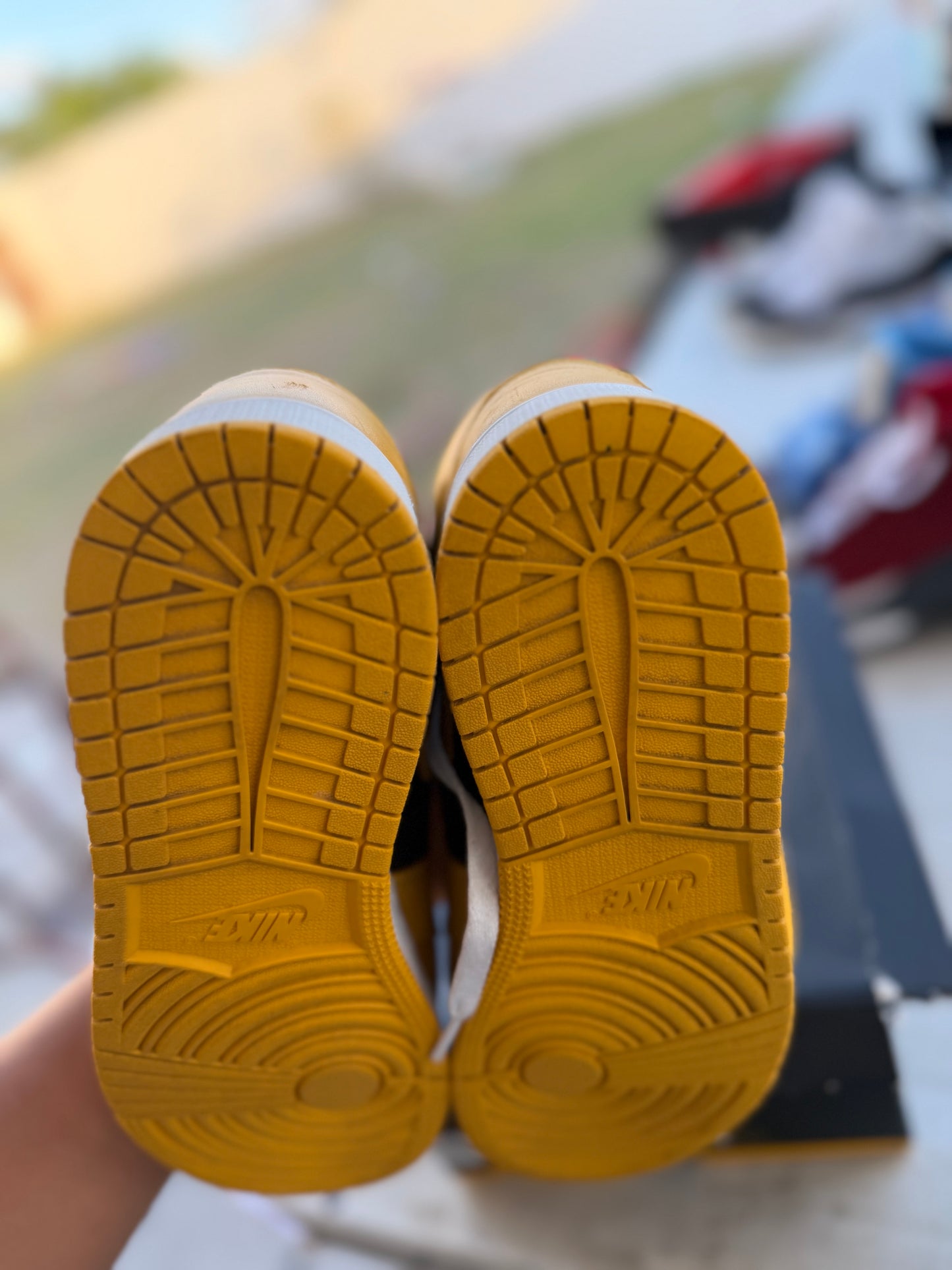 J1 Pollen 5Mx
