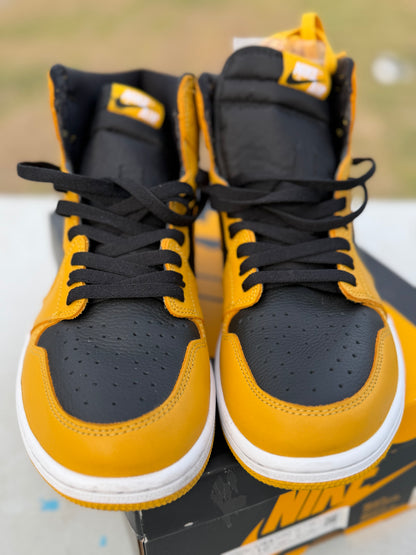 J1 Pollen 8.5Mx