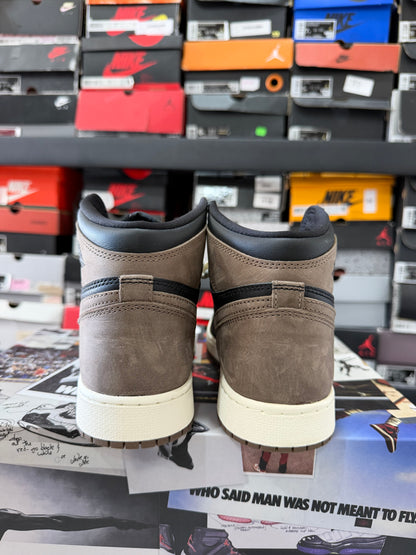 J1 Palomino 5Mx