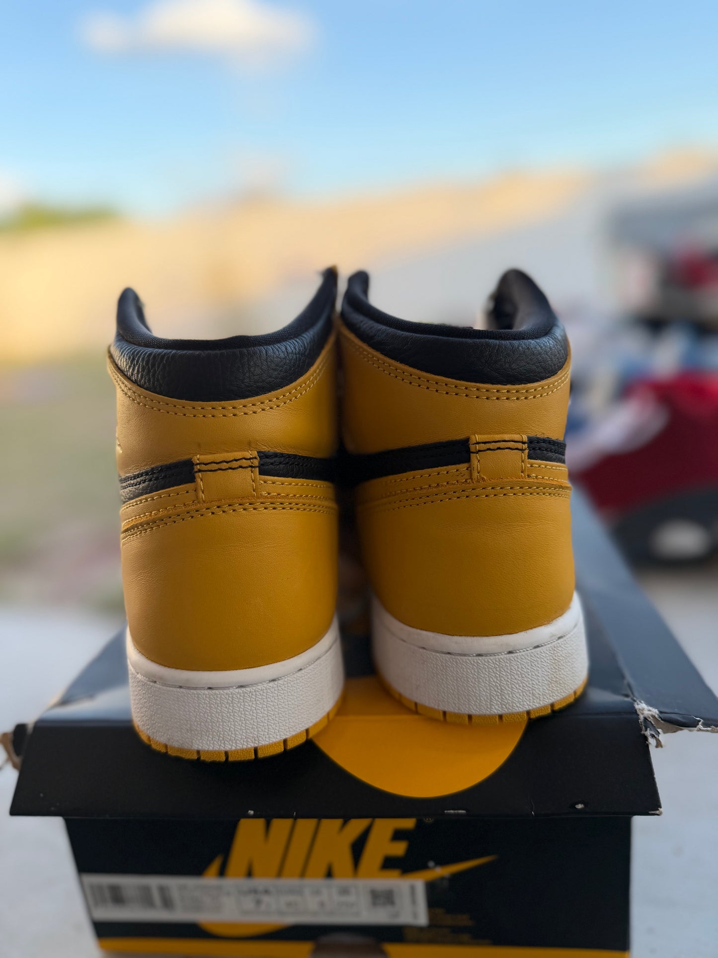 J1 Pollen 5Mx