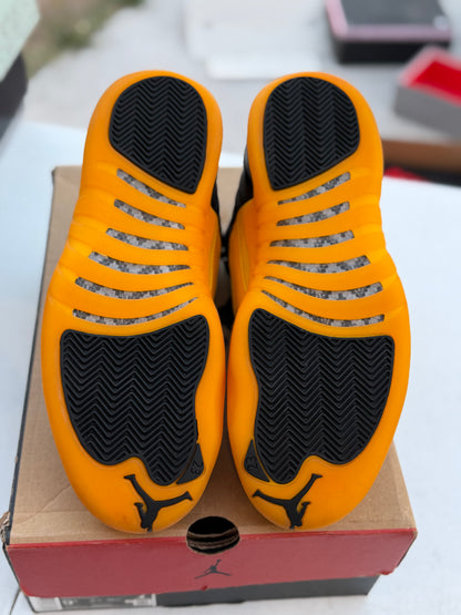 J12 Gold 7.5Mx