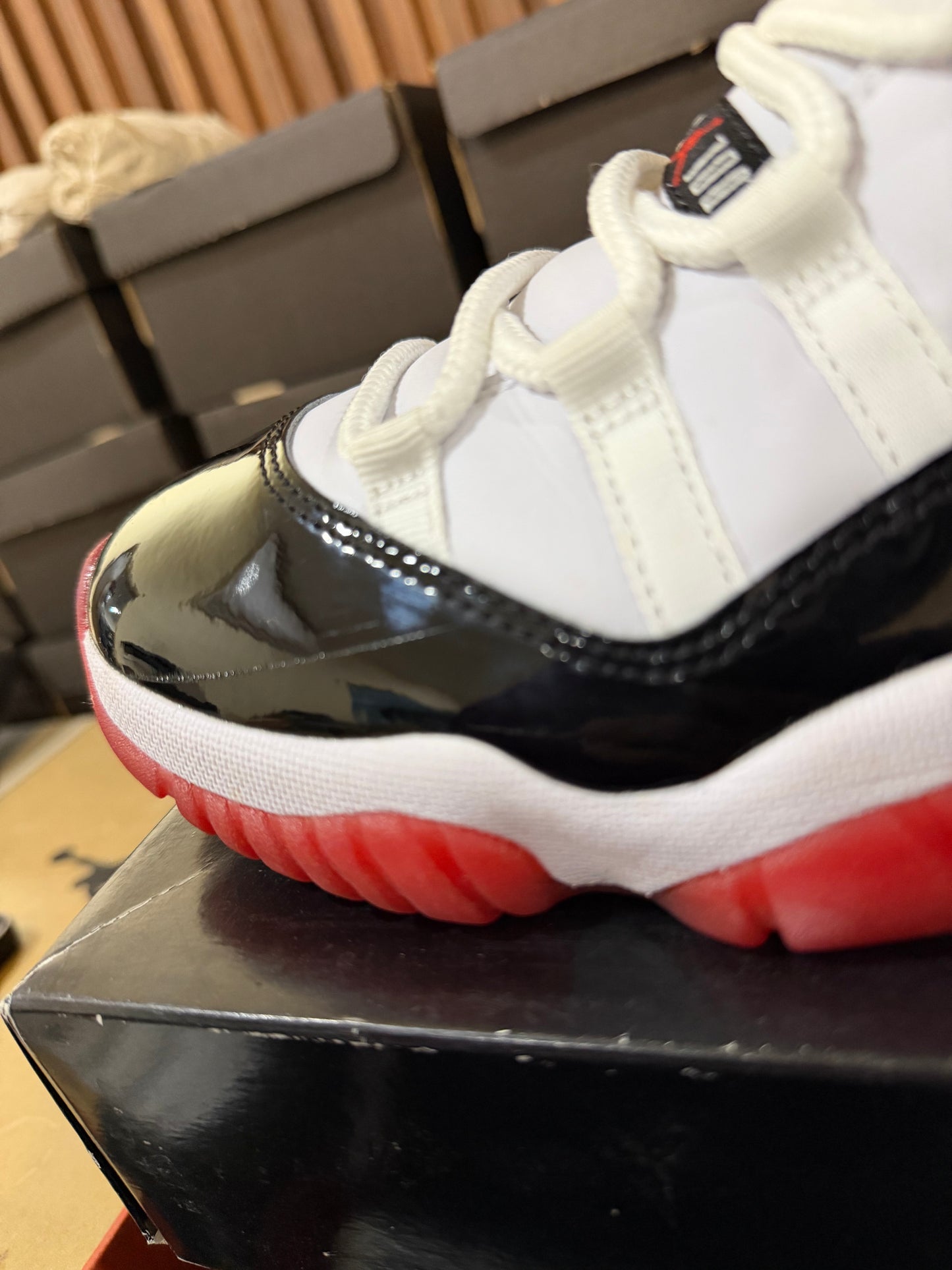 J11 Low Concord bred 7Mx