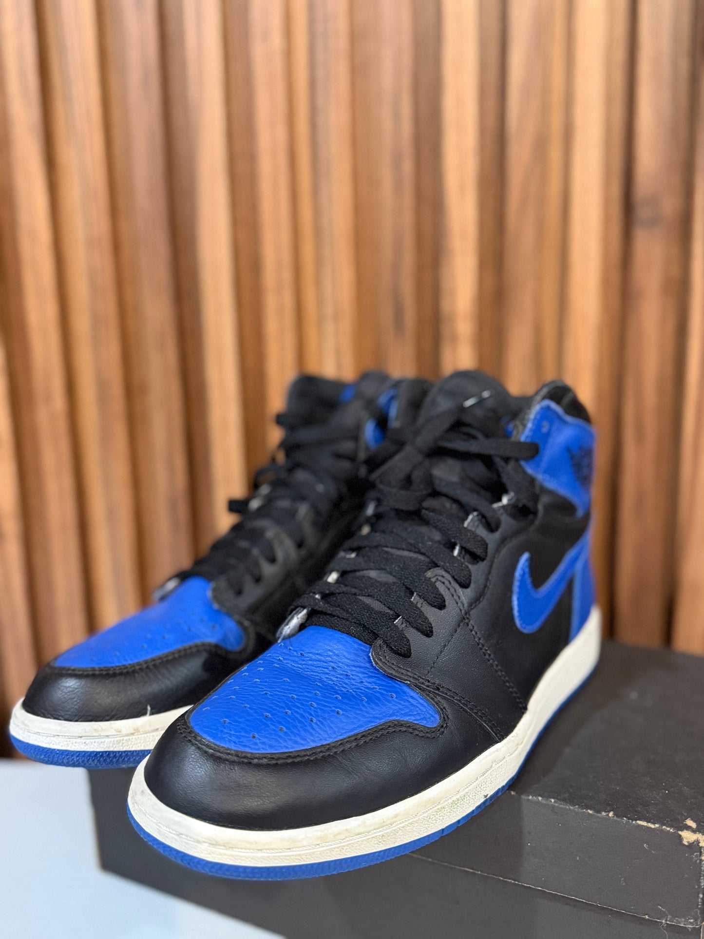 J1 Royal 8Mx