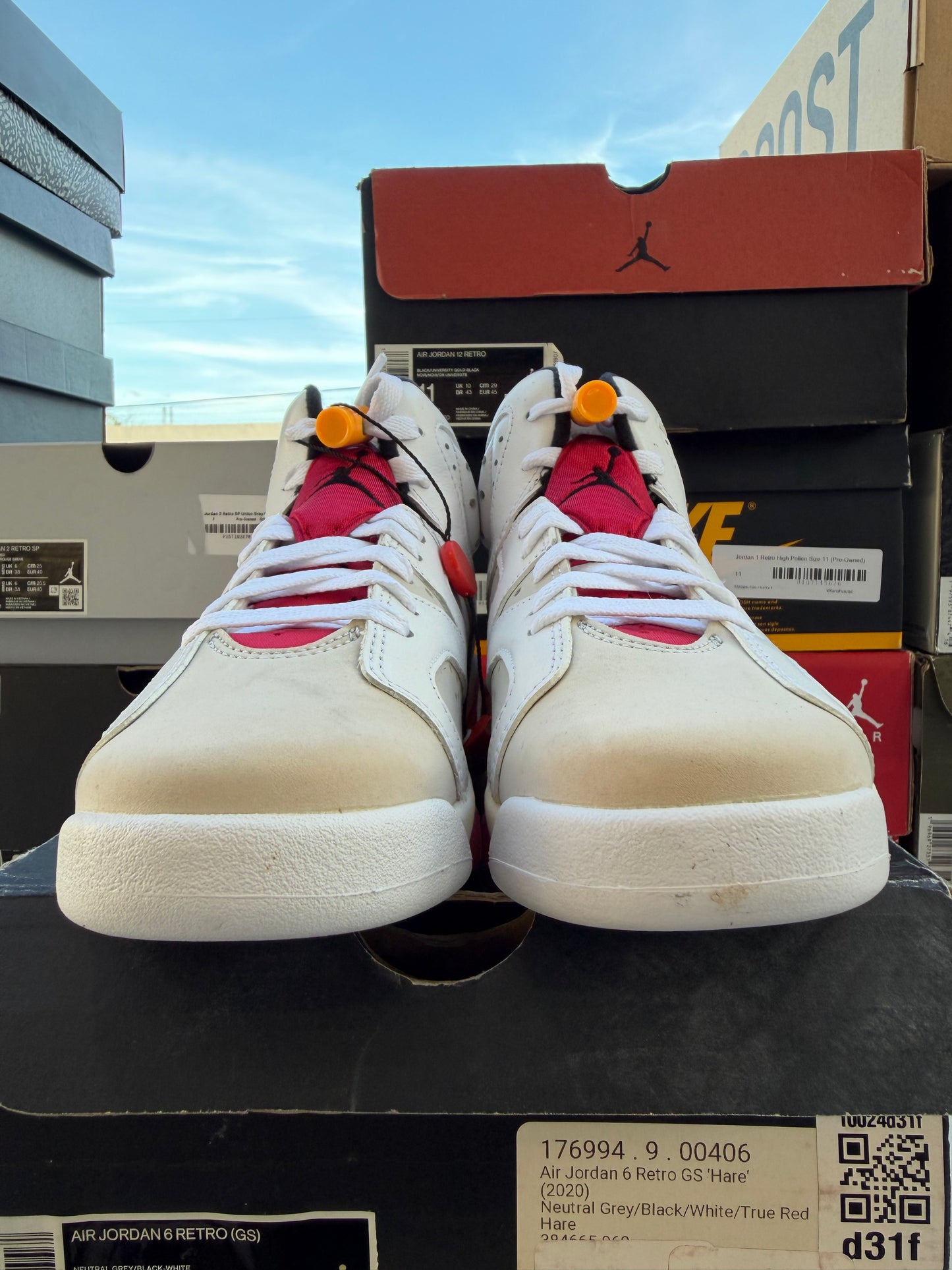 J6 Hare 3Mx NUEVO