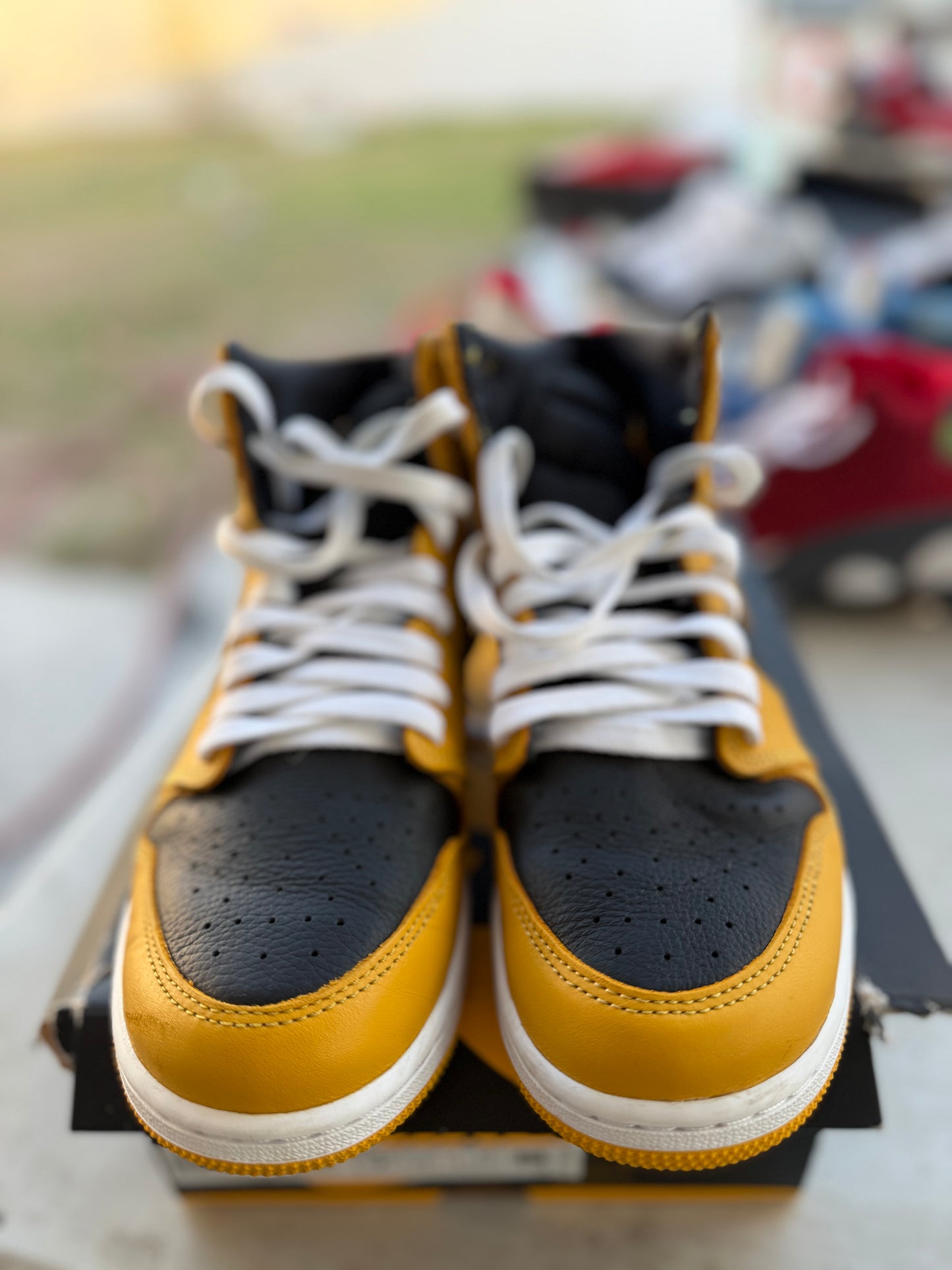 J1 Pollen 5Mx