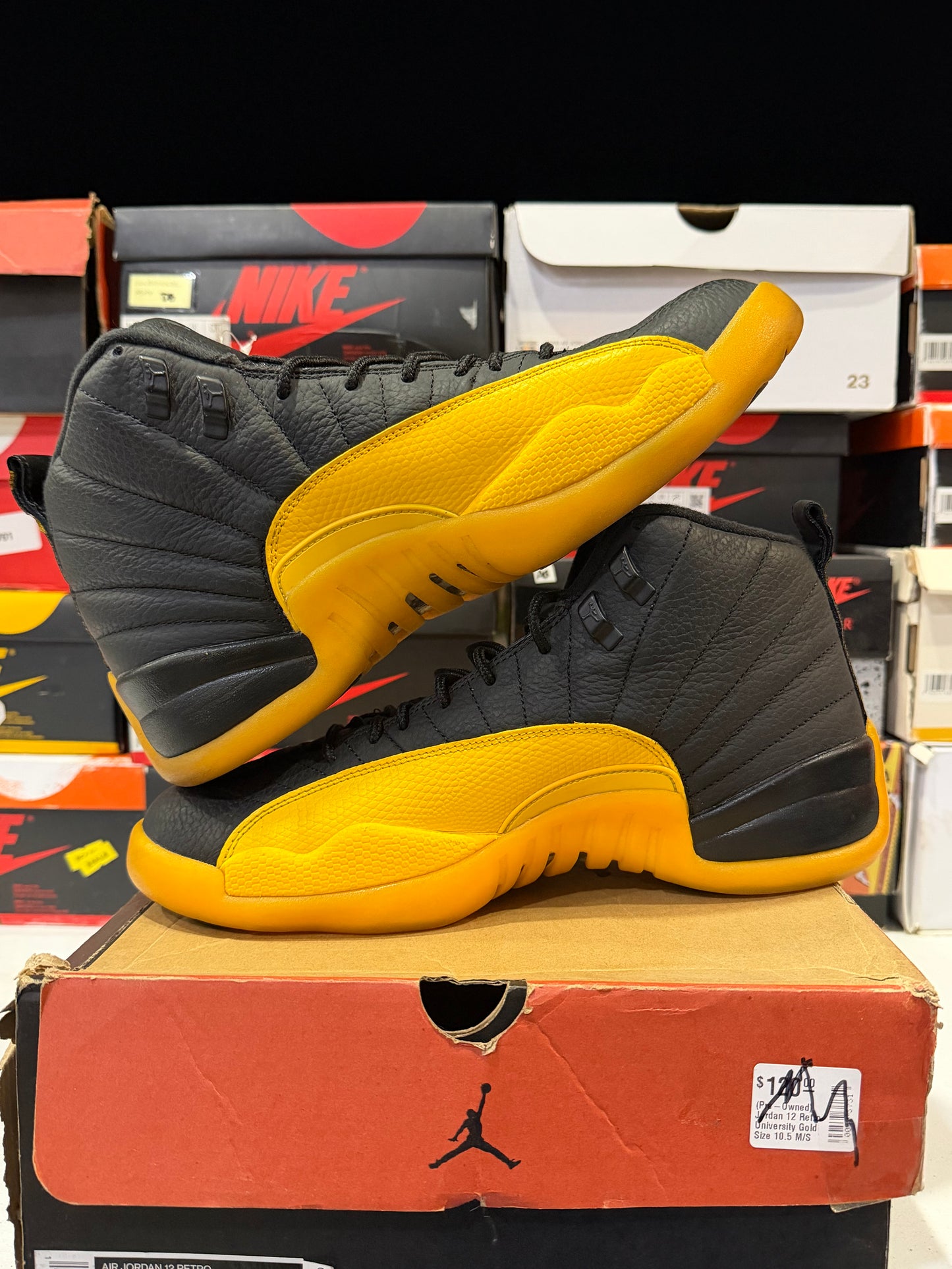 J12 Gold 8Mx Detalle