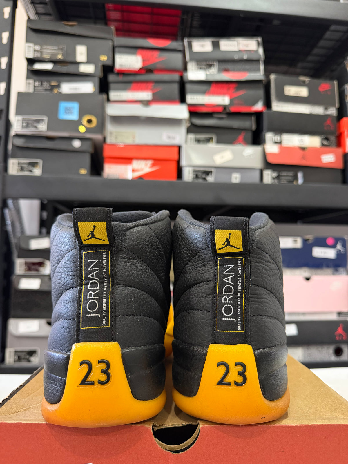 J12 Gold 9Mx