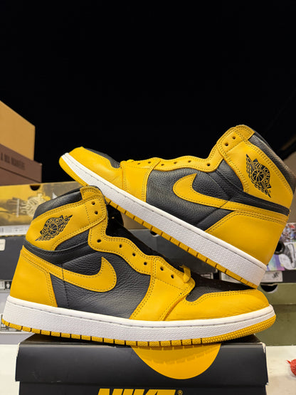 J1 Pollen 9.5Mx
