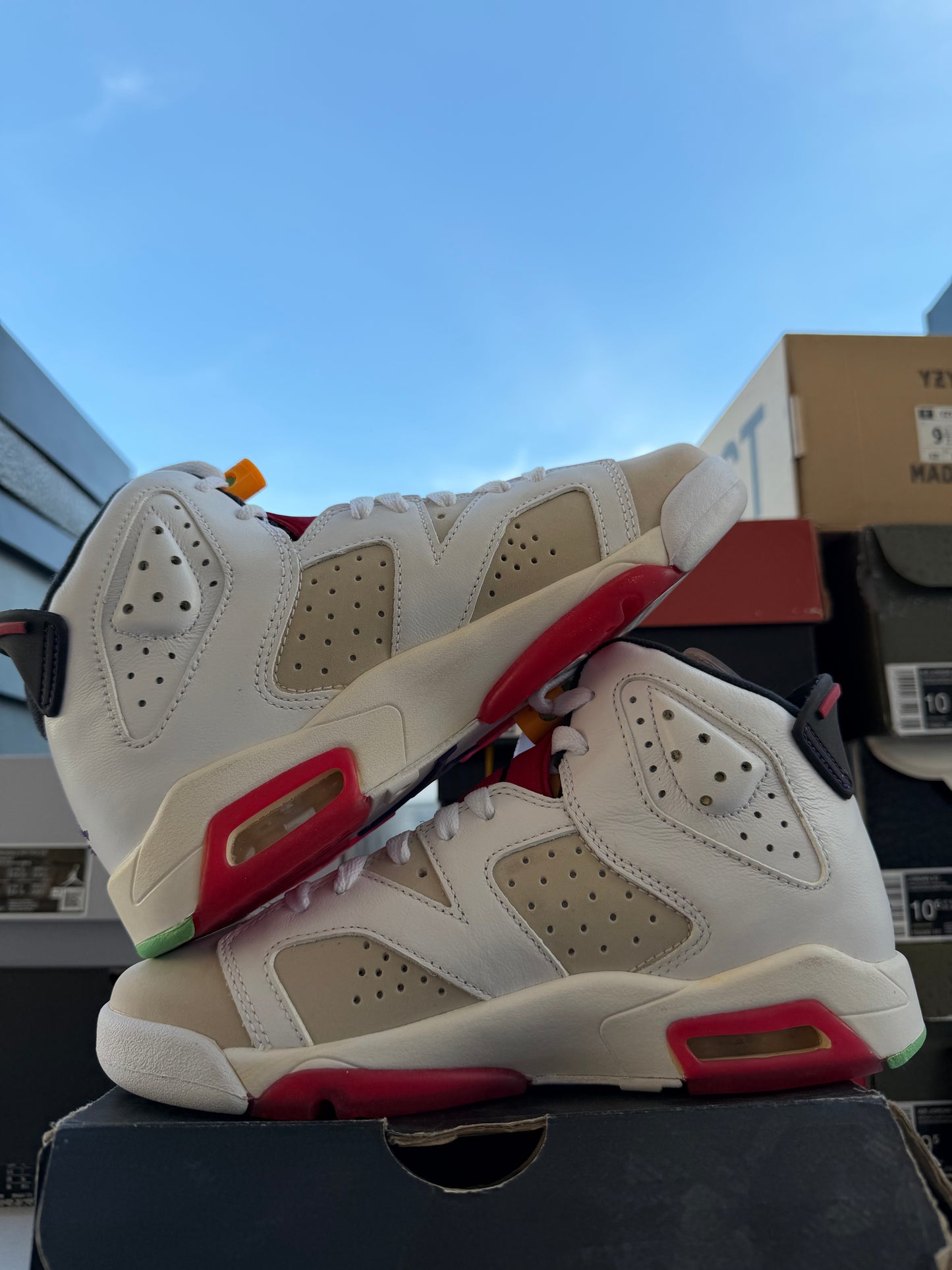 J6 Hare 3Mx NUEVO