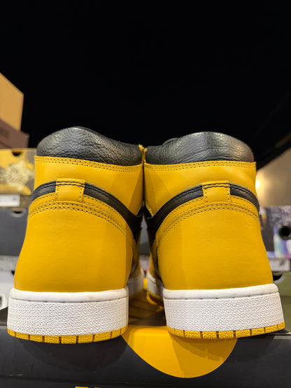 J1 Pollen 9.5Mx