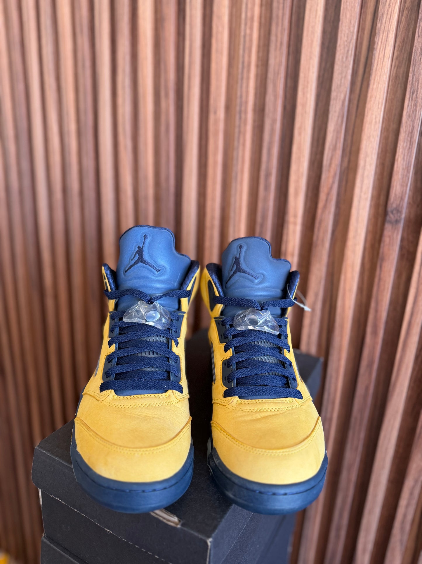 J5 Michigan 6Mx
